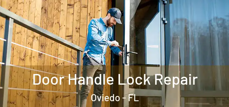 Door Handle Lock Repair Oviedo - FL