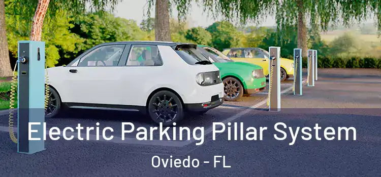  Electric Parking Pillar System Oviedo - FL