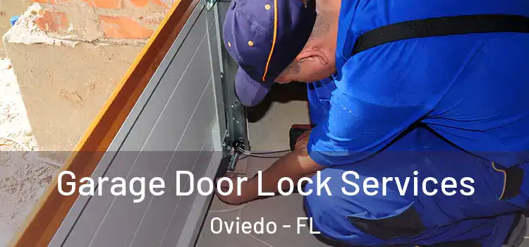 Garage Door Lock Services Oviedo - FL