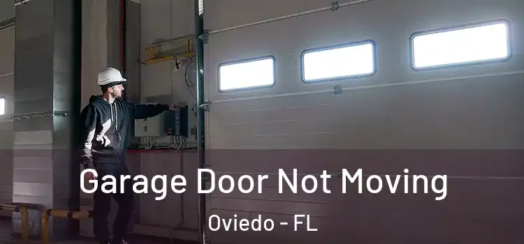  Garage Door Not Moving Oviedo - FL