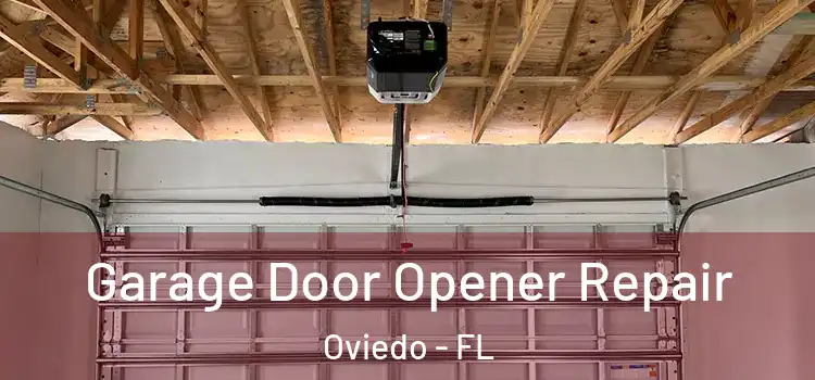  Garage Door Opener Repair Oviedo - FL