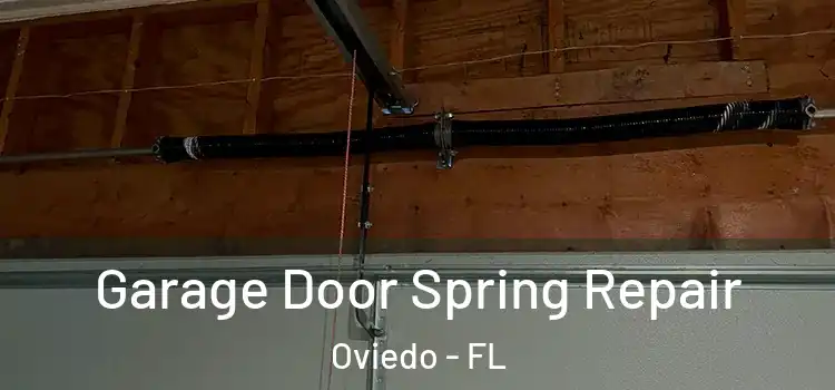  Garage Door Spring Repair Oviedo - FL