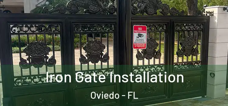  Iron Gate Installation Oviedo - FL