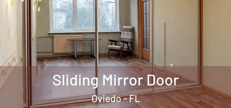 Sliding Mirror Door Oviedo - FL